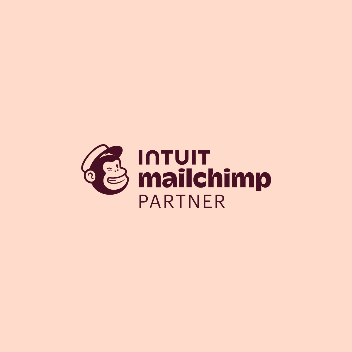mailchimp--partner